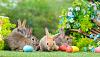 Click image for larger version

Name:	Easter Bunny.jpg
Views:	15
Size:	45.2 KB
ID:	648228