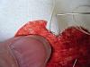 attachment-115607.jpe