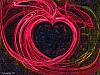 attachment-137615.jpe