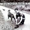 losing-your-teeth.jpg