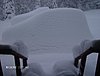 big-snow-150.jpg