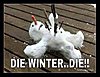 die-winter.jpg