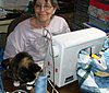 miss-maple-helping-me-quilt.jpg