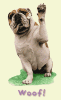 attachment-97075.gif