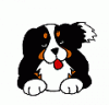attachment-97680.gif