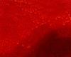 attachment-103442.jpe