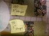 attachment-169584.jpe