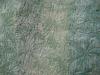 attachment-20656.jpe