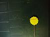 attachment-207294.jpe