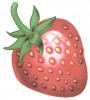strawberry1.jpg