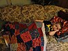 dsc02540.jpg