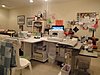 workspace-back.jpg