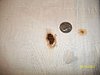 100_3167.jpg