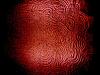 attachment-3765.jpe