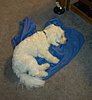 imag0357.jpg