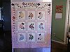 sunbonnet-sue-completed.jpeg