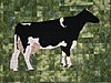 quilted-cow-001.jpg