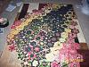 attachment-4940.jpe