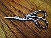 scissors.jpg