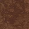 attachment-59902.jpe