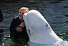 img_6291.jpg