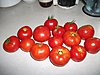 tomatoes-12.jpg
