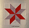 lum-starflower-.jpg