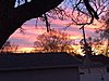 image.jpeg