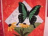 butterflies...5-blocks-002.jpg