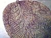 zentangle-violet-leaf-quilting-detail-6-2012.jpeg