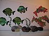 fish.jpg