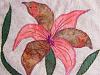 attachment-39255.jpe