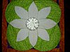5-water-lily-002.jpg