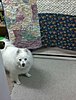 helper.jpeg