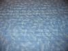 attachment-79090.jpe