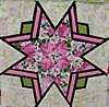 camellia-star-525-x-514-.jpg