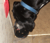 attachment-177918.gif