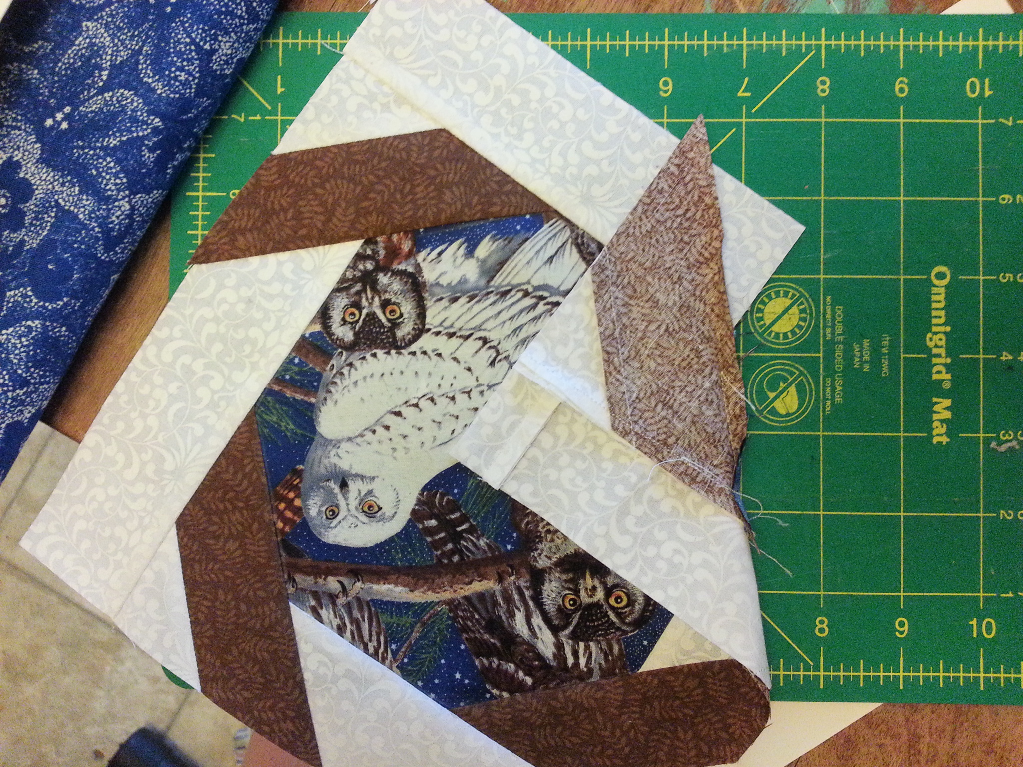 interlocked squares with a fussy cut center - Quiltingboard Forums