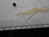 silk-ribbon-bead-tute-003.jpg