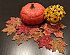 maple-leaf-mug-rug-coasters.jpg