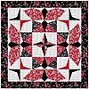 my-star-flight-black-red.jpg